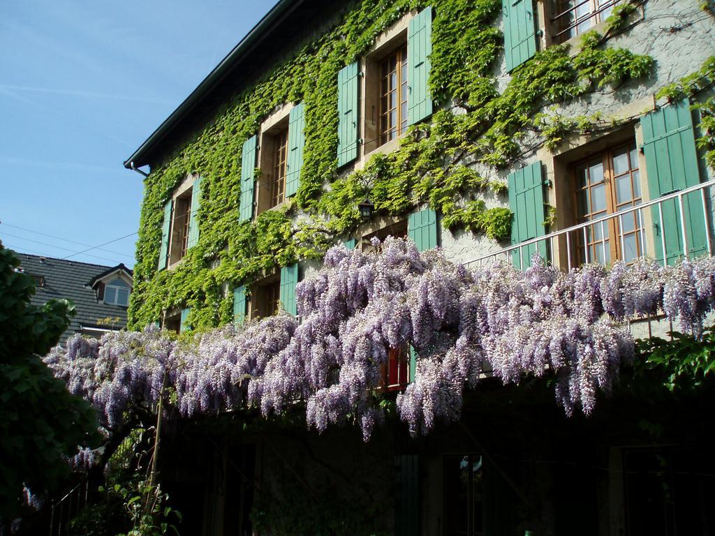 La Maison De Concise (Adults Only) Thonon-les-Bains Ngoại thất bức ảnh